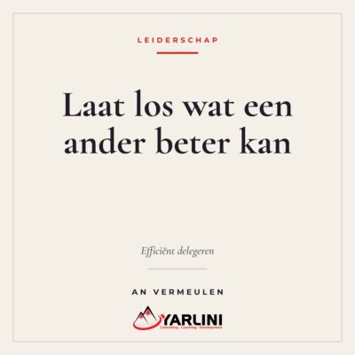 Cover eBook Efficiënt delegeren van An Vermeulen, Yarlini efficiënt delegeren