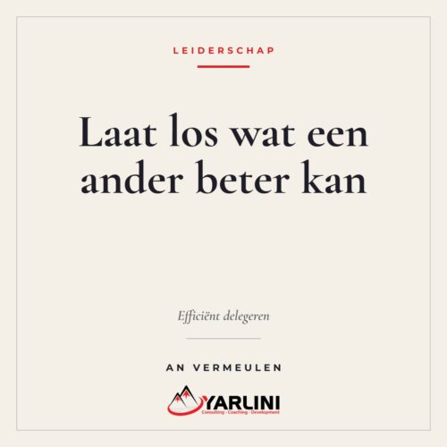 efficiënt delegeren